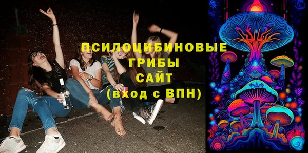 эйфоретик Алзамай