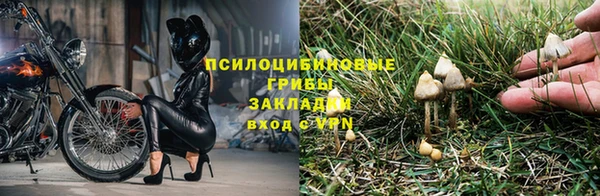 эйфоретик Алзамай