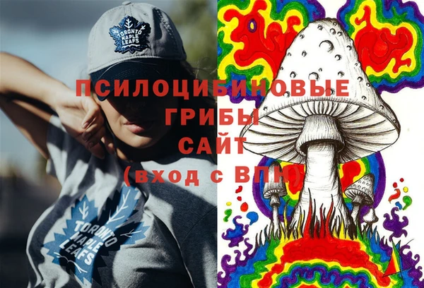 эйфоретик Алзамай