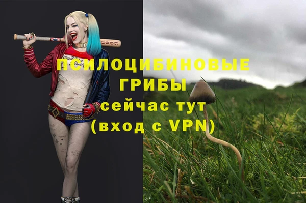2c-b Алексеевка